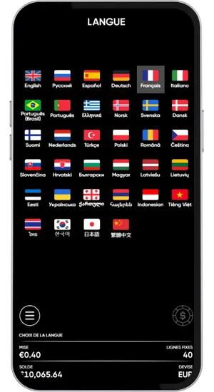 Menu de sélection de la langue avec Français actif
